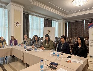 ВЕКИЋ: ОДГОВОР НА КЛИМАТСКЕ ПРОМЈЕНЕ МОРА УКЉУЧИТИ И ПОТРЕБЕ ЖЕНА НА СЕЛУ