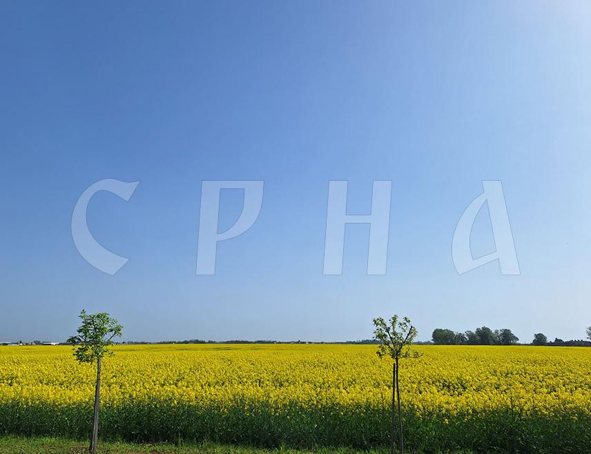 САРАЈЕВО, 16. АПРИЛА /СРНА/ - У Републици Српској и Федерацији БиХ сутра ће бити промјенљиво облачно и сунчано вријеме, понегдје са кишом, топло и вјетровито.