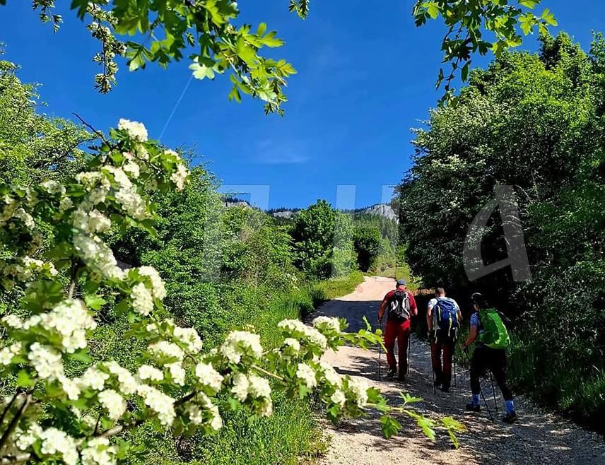 PALE, JUNE 4 /SRNA/ – Members of the Mountaineering and Ecological Association "Romanija" from Pale have inspected the terrain in preparation for a new hiking trail that will connect all major landmarks of the area, including the "Stajna" Mountain Lodge, Novak’s Cave, and Velika Stijena.