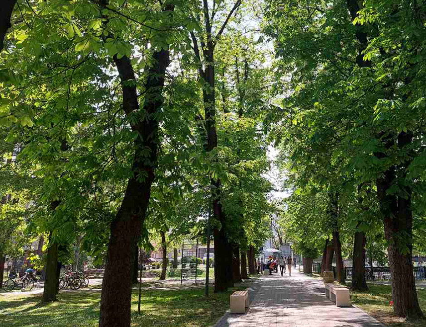 БАЊАЛУКА, 14. ЈУНА /СРНА/ - У Републици Српској и Федерацији БиХ /ФБиХ/ данас ће преовладавати претежно сунчано и топло вријеме уз пролазну дневну облачност.