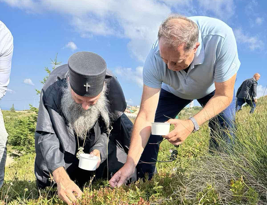 БАЊАЛУКА, 11. АВГУСТА /СРНА/ - Предсједник Републике Српске Милорад Додик објавио је снимак како са Његовом светошћу патријархом српским Порфиријем бере боровнице на Јахорини, те истакао да је права снага и радост дијелити молитву и плодове земље.