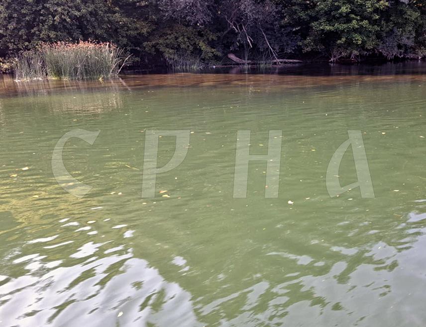 НОВИ ГРАД, 12. АВГУСТА /СРНА/ - Замјеник начелника општине Нови Град Бојан Лукач рекао је Срни да је од премијера Унско-санског кантона Нијаза Хушића информисан да узрок промјене боје воде у ријеци Уни није пуцање колектора у Бихаћу, како се данас проширила информација.