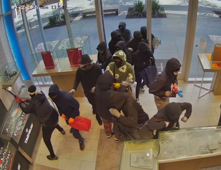 САН РАМОН, 25. СЕПТЕМБРА /СРНА/ - Најмање двадесет људи под маскама, од којих су поједини носили пијуке и пиштоље, опљачкало је златару у области залива Сан Франциска, саопштиле су америчке власти.