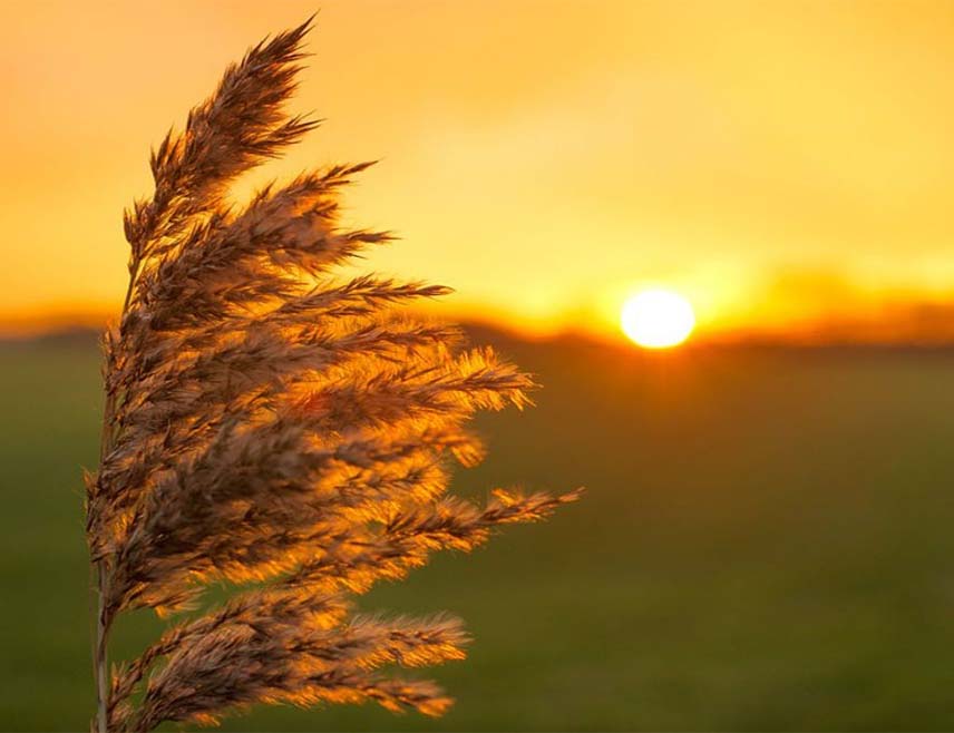 САРАЈЕВО, 28. ОКТОБРА /СРНА/ - У Републици Српској и Федерацији БиХ сутра се очекује сунчано вријеме уз промјенљиву облачност, а крајем дана у Крајини јачи вјетар.