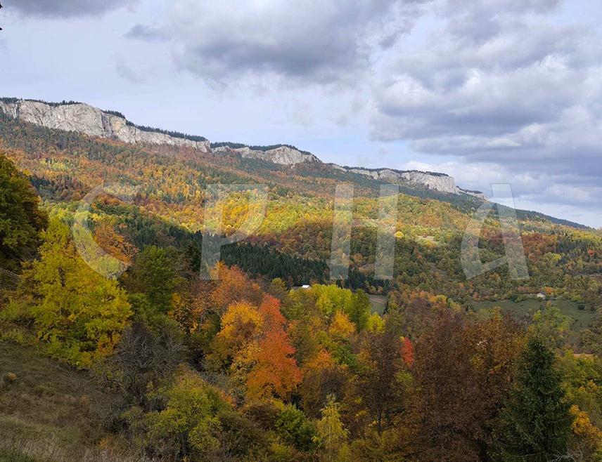 PALE, NOVEMBER 1 /SRNA/ - Autumn has a special scent and color in the small village of Podmjedenik, located on the road from Pale to Bogovići.