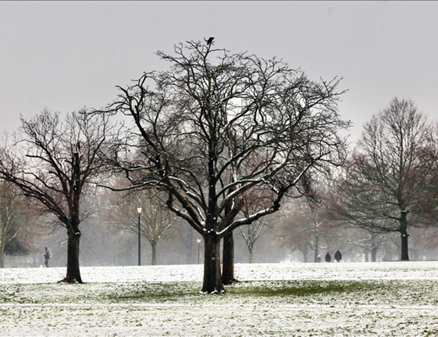 ЗАГРЕБ, 14. НОВЕМБРА /СРНА/ - У Хрваткој ће почетком идуће седмице доћи до наглог пада температуре, локално ће бити израженијих пљускова с грмљавином, нарочито уз Јадран, а у највишем горју могло би пасти и мало снијега.