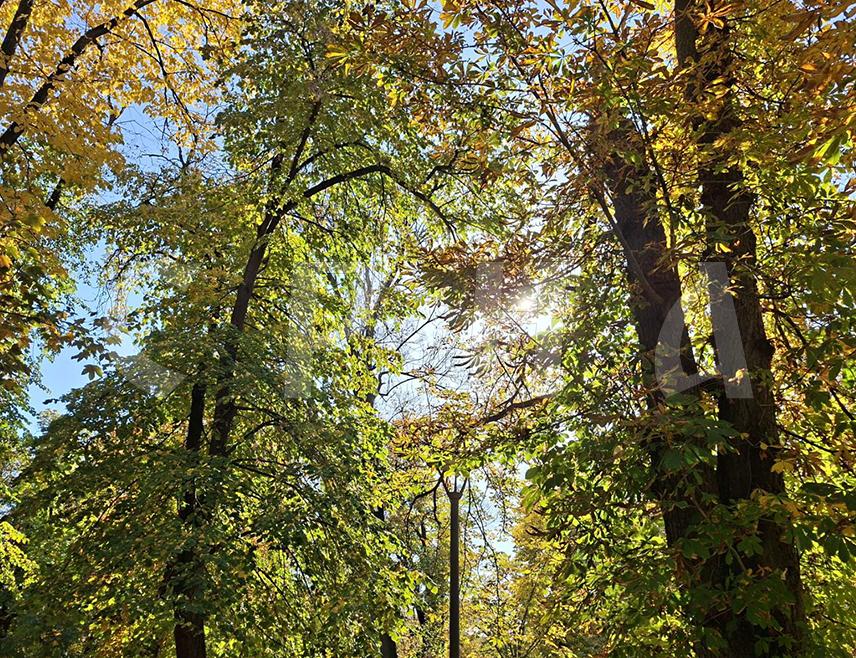 ИСТОЧНО САРАЈЕВО, 14. НОВЕМБРА /СРНА/ - У Републици Српској и Федерацији БиХ /ФБиХ/ сутра се очекује топло уз сунчане периоде и постепено наоблачење од запада, а највиша температура ваздуха биће од 16 до 21 степен Целзијусов.