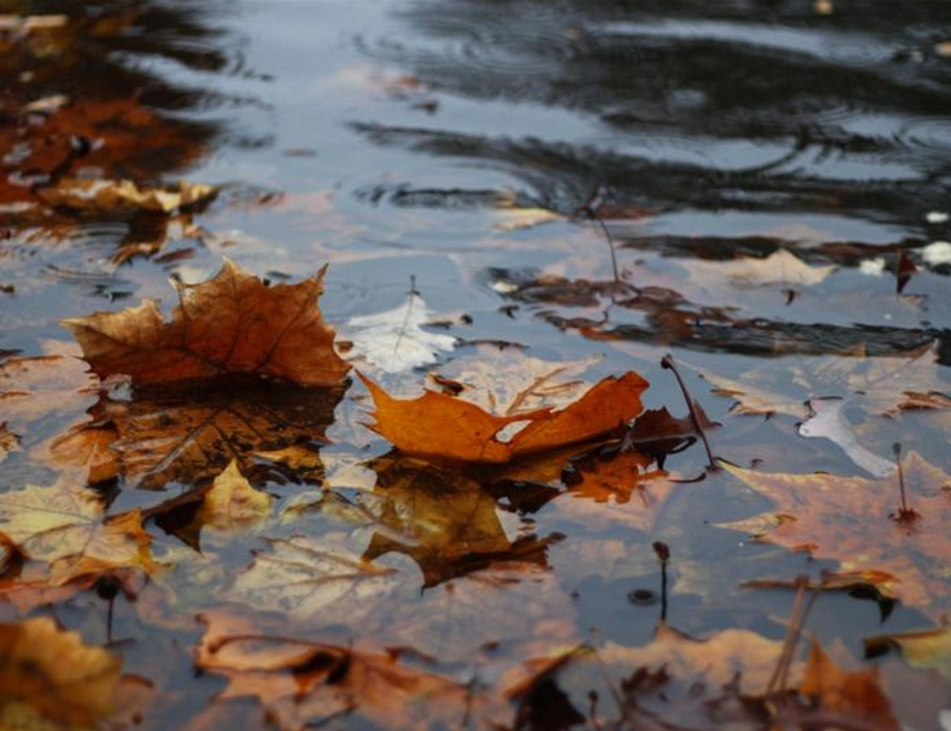 САРАЈЕВО, 18. НОВЕМБРА /СРНА/ - У Републици Српској и Федерацији БиХ /ФБиХ/ сутра ће бити промјенљиво облачно вријеме уз сунчане периоде, осим у Херцеговини и на истоку, док се на планинама очекује снијег.