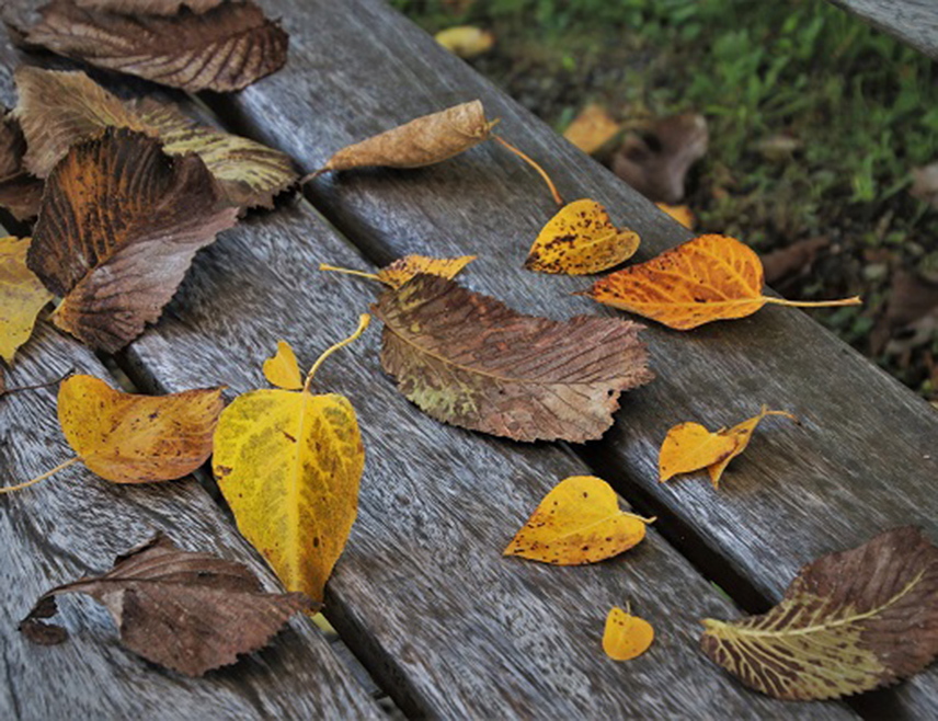 ИСТОЧНО САРАЈЕВО, 15. ДЕЦЕМБРА /СРНА/ - У Републици Српској и Федерацији БиХ сутра ће бити умјерено до претежно облачно вријеме са максималном температуром од четири до 11 степени Целзијусових.