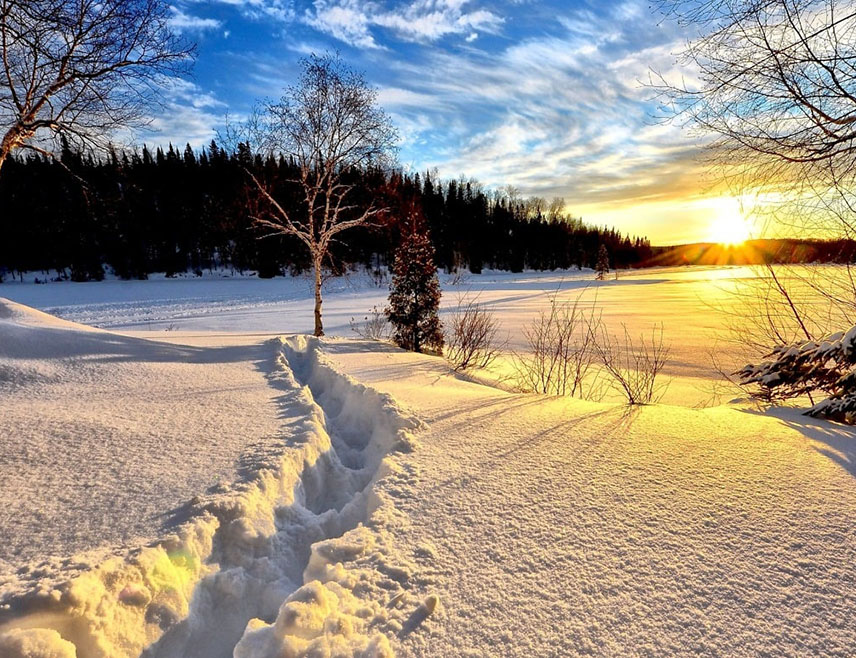 БЕОГРАД, 20. ДЕЦЕМБРА /СРНА/ - Зима почиње сутра на сјеверној Земљиној хемисфери, када ће уједно бити и најкраћи дан у години, саопштило је Астрономско друштво "Руђер Бошковић" из Београда.