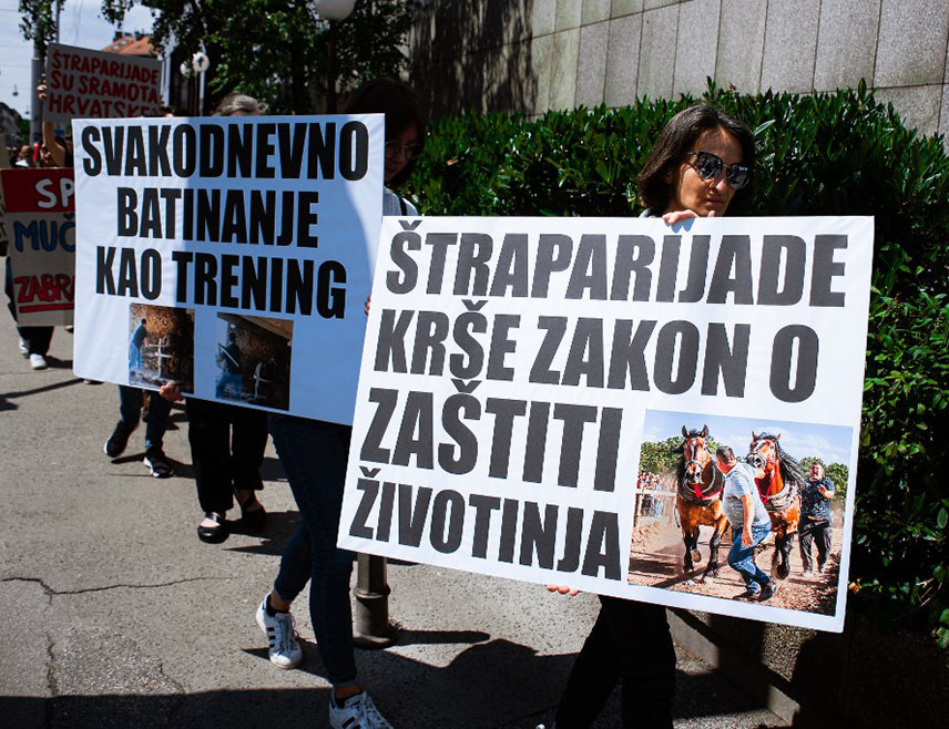 ЗАГРЕБ, 22. ДЕЦЕМБРА /СРНА/ - Удружење "Пријатељи животиња" упутило је надлежним институцијама у Хрватској правну и научну аргументацију којом упозоравају да су штрапаријаде - такмичења коња у вучи тешких стабала у супротности са Законом о заштити животиња, те тврде да су овакви догађаји "покушај увоза из БиХ".