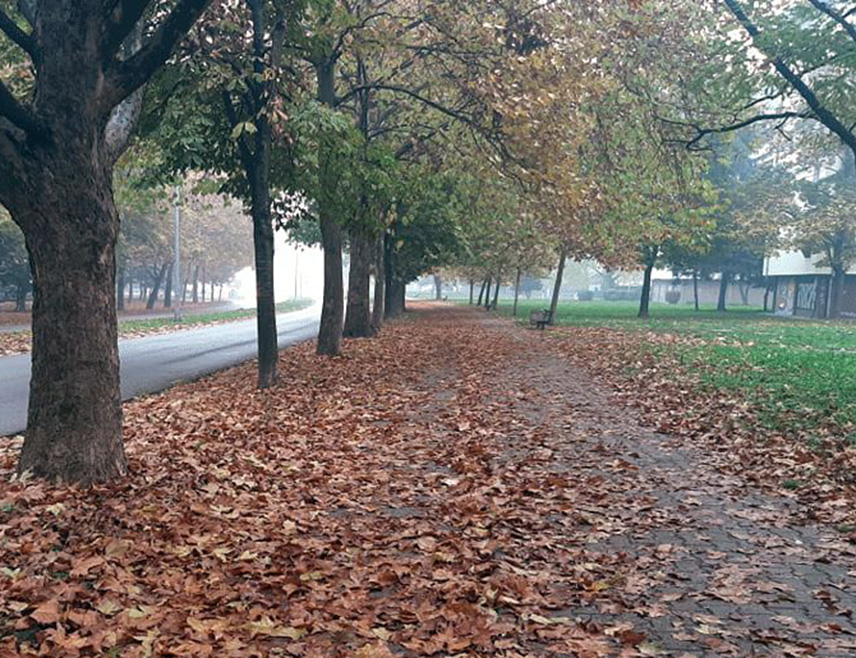 САРАЈЕВО, 22. ДЕЦЕМБРА /СРНА/ - У Републици Српској и Федерацији БиХ /ФБиХ/ сутра ће бити претежно облачно вријеме, са кишом на југу и западу, а локално се око ријека и по котлинама очекује магла.