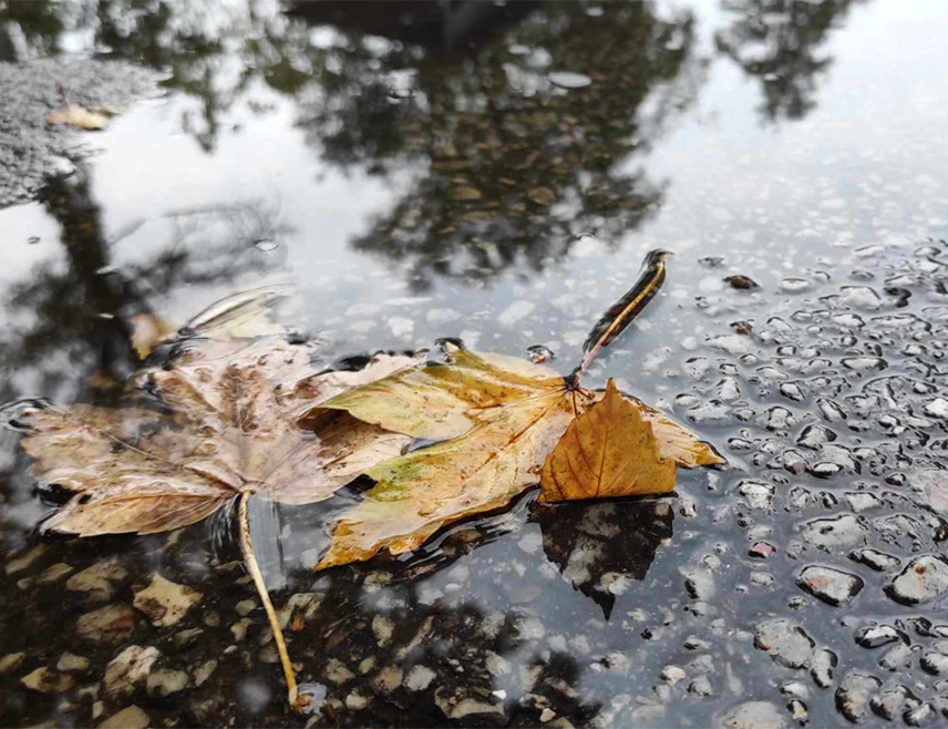 БИЈЕЉИНА, 23. ДЕЦЕМБРА /СРНА/ - У Републици Српској и Федерацији БиХ /ФБиХ данас ће бити претежно облачно, локално око ријека и по котлинама магловито, а у вишим предјелима од југозапада ка истоку уз сунчане периоде.