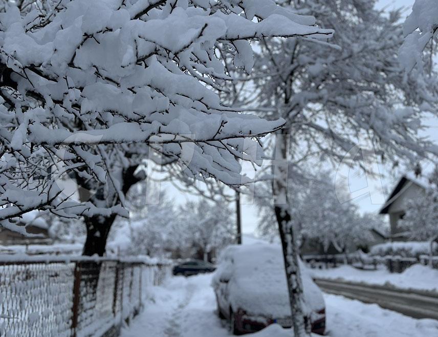 БИЈЕЉИНА, 5. ЈАНУАРА /СРНА/ - У Бијељини је јутрос снијег лијеп само на гранама, али не и на улицама и тротоарима јер су зимске градске службе заказале.