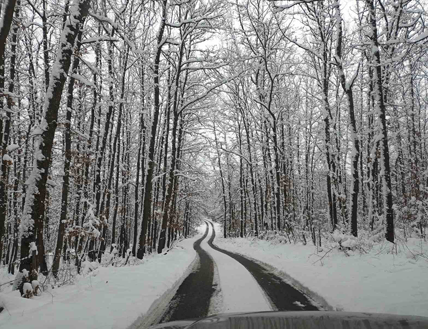ЗВОРНИК, 6. ЈАНУАРА /СРНА/ - Сви магистрални и регионални путеви на подручју регије Бирач су проходни, али су критичне дионице на планинским превојима Хан Поглед изнад Власенице, Црни врх код Зворника и Бијела земља код Шековића, саопштено је данас из предузећа "Зворникпутеви".