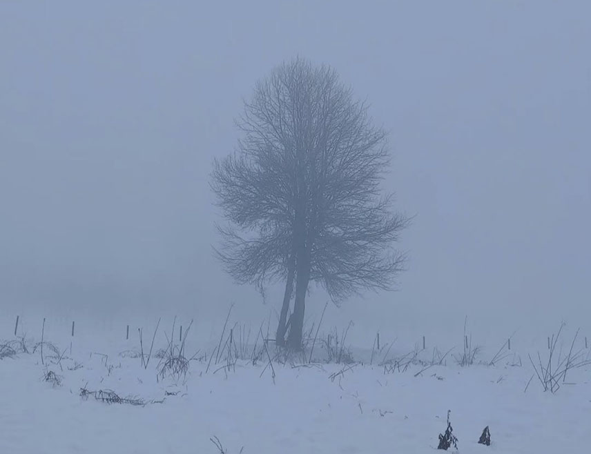 БИЈЕЉИНА, 7. ЈАНУАРА /СРНА/ - У Републици Српској и Федерацији БиХ /ФБиХ/ данас ће бити облачно и хладно уз слаб снијег на сјеверу и западу, док ће на истоку током дана поново падати умјерен до јак снијег, уз даљи пораст сњежног покривача.