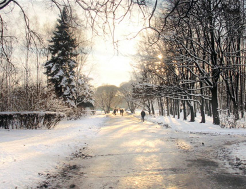 БАЊАЛУКА, 8. ЈАНУАРА /СРНА/ - У Републици Српској се вечерас и током ноћи очекује врло хладно вријеме уз јак мраз и минималну температуру ваздуха од минус 16 степени Целзијусових, саопштено је из републичког Хидрометеоролошког завода.