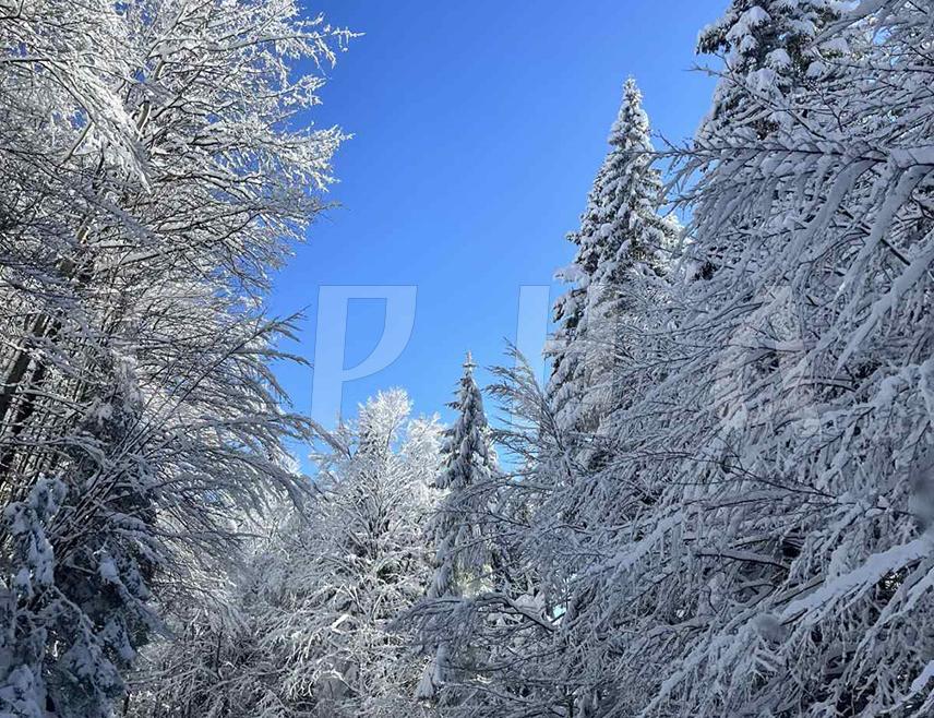 БИЈЕЉИНА, 9. ЈАНУАРА /СРНА/ - У Републици Српској и Федерацији БиХ /ФБиХ/ данас ће преовладавати облачно са падавинама уз пораст температуре.