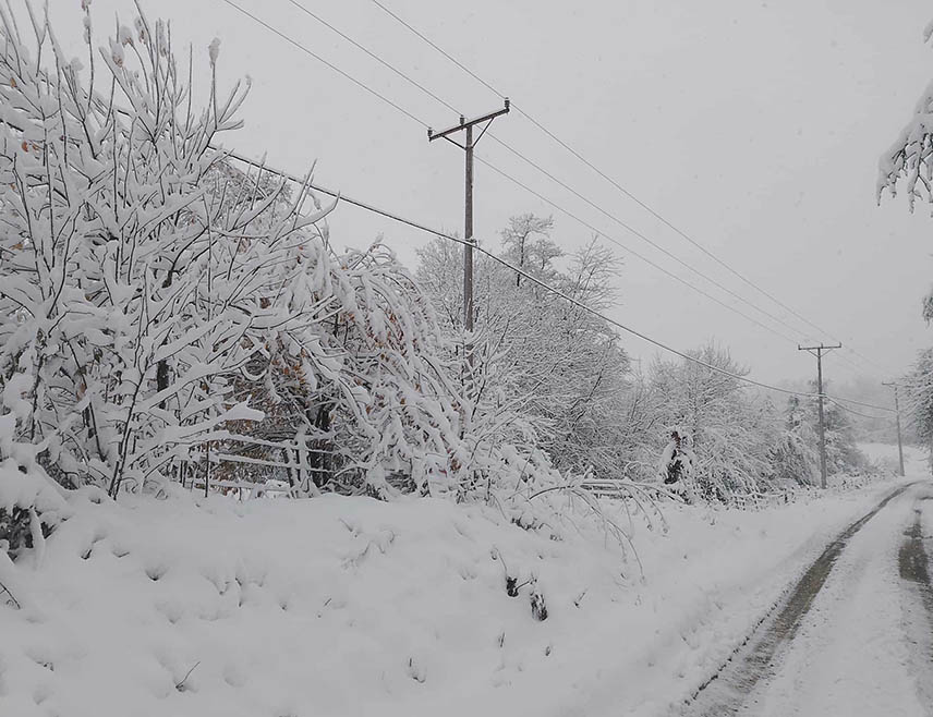 ГАЦКО, 10. ЈАНУАРА /СРНА/ - Десетак села на подручју општине Гацко данас је остало без електричне енергије због квара на елекетромрежи изазаваног сњежним падавинама, речено је Срни у "Електро-Херцеговини".