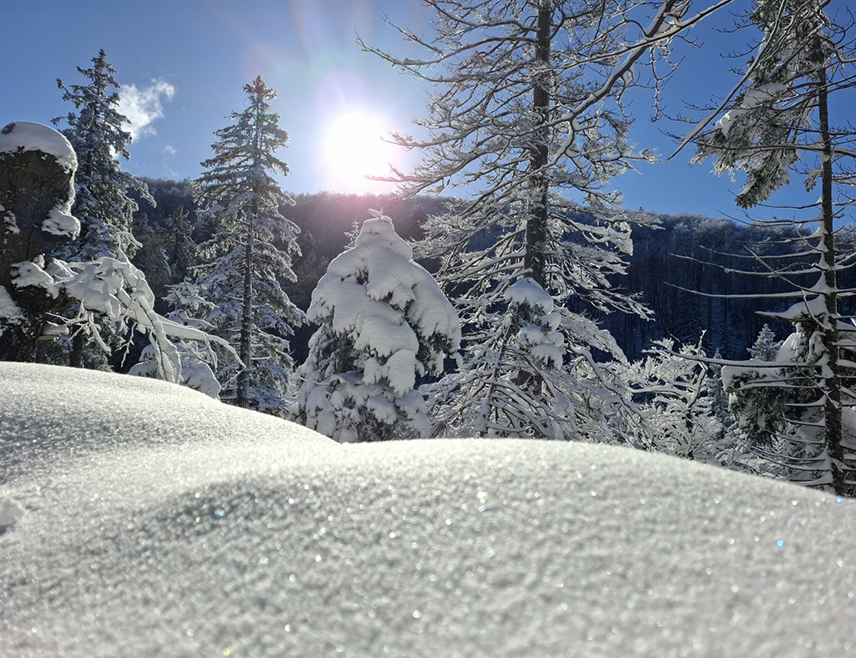 БАЊАЛУКА, 12. ЈАНУАРА /СРНА/ - У Републици Српској јутрос је на снази наранџасти метеоаларм због веома ниске температуре ваздуха која је у вишим крајевима прогнозирана до чак 19 степени испод нуле.