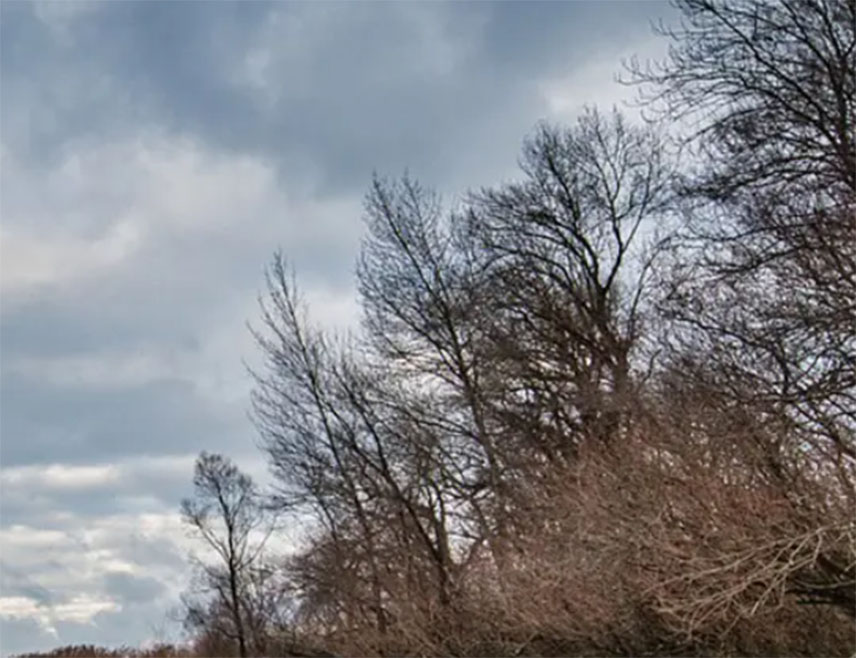 САРАЈЕВО, 17. ЈАНУАРА /СРНА/ - У већем дијелу Републике Српске и Федерације БиХ /ФБиХ/ сутра ће бити претежно облачно, у котлинама и уз ријечне токове биће магле која ће се понегдје задржати дуже вријеме, а на планинама и на југу биће сунчано.