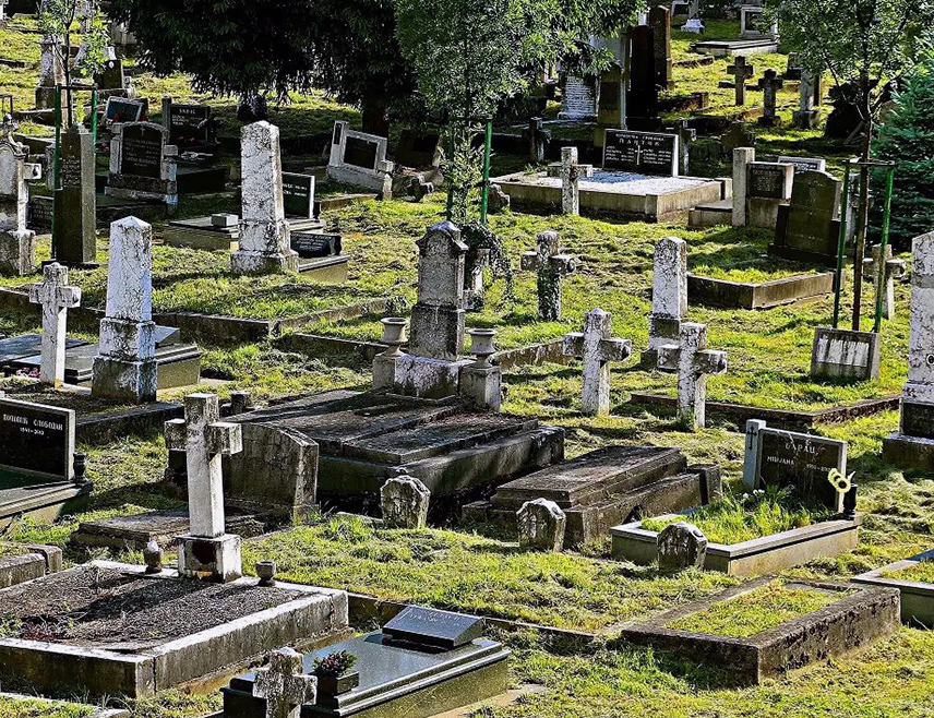 МОСТАР, 18. ЈАНУАРА /СРНА/ - Општински суд у Мостару уписао је у грунтовницу да је "држава" власник православног гробља у мостарском насељу Врапчићи, чији је посједник Српска православна црквена општина, упозорио је Одбор за заштиту права Срба у Федерацији БиХ.