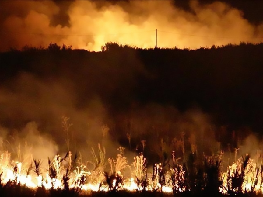 САНТИЈАГО, 19. ЈАНУАРА /СРНА/ - Најмање 19 људи погинуло је у шумским пожарима у Чилеу, саопштили су надлежни органи.