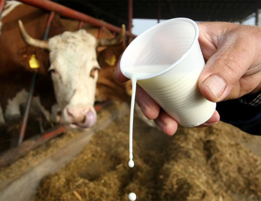 САРАЈЕВО, 23. ЈАНУАРА /СРНА/ - Мљекарска индустрија БиХ тражи хитно раздвајање биљних и млијечних производа на тржишту, односно досљедно информисање потрошача, те што скорије усвајање правилника о додатним захтјевима за стављање на тржиште производа који садрже палмино уље и маст, као и друга биљна уља и масти.