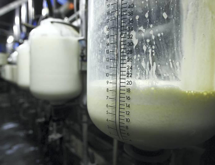 БАЊАЛУКА, 24. ЈАНУАРА /СРНА/ - Из Министарства пољопривреде, шумарства и водопривреде Републике Српске саопштено је да је мљекарство стратешки приоритет Српске и да мљекарима могу да гарантују редовност подстицаја.