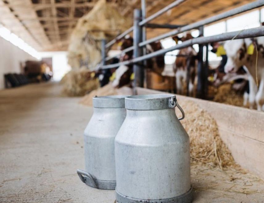 БАЊАЛУКА, 27. ЈАНУАРА /СРНА/ - Удружење мљекара Републике Српске прихватило је данас у Бањалуци понуду Министарства пољопривреде да премија по литру млијека буде 30 фенинга и 500 КМ по музном грлу, изјавио је предсједник овог удружења Милорад Арсенић.