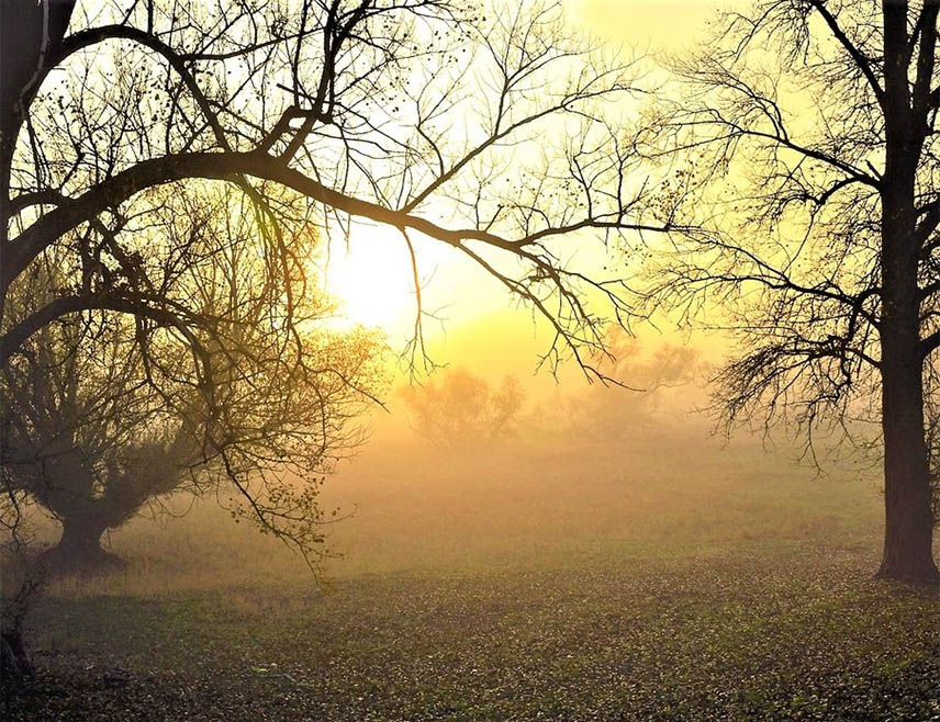 БИЈЕЉИНА, 28. ЈАНУАРА /СРНА/ - У Републици Српској и Федерацији БиХ /ФБиХ/ данас ће бити вјетровито, натпросјечно топло и облачно вријеме, са слабом кишом, на југу уз обилније падавине.