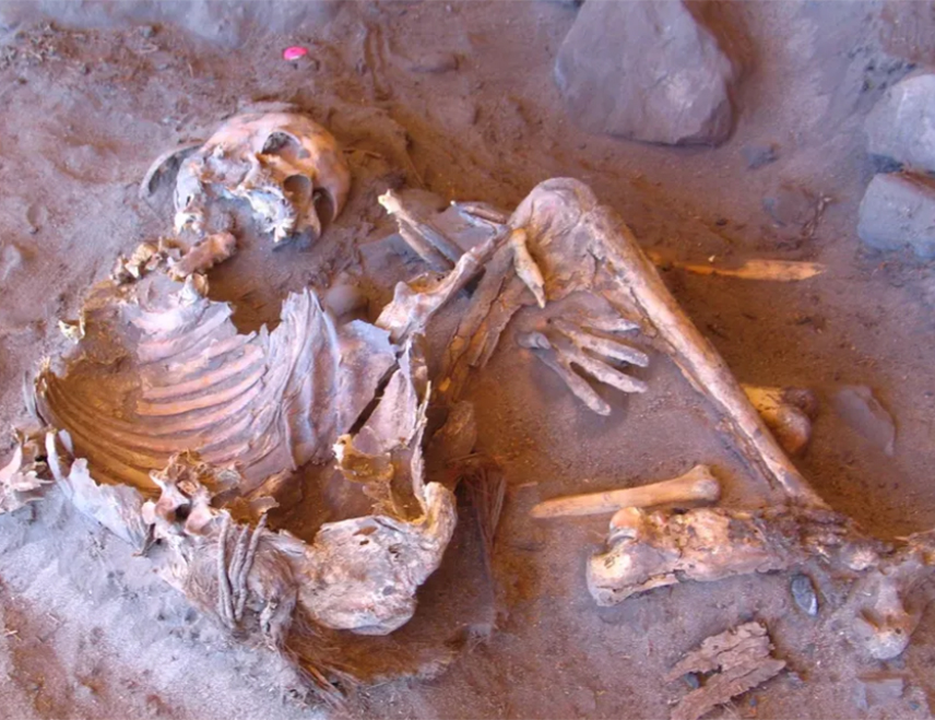 МИНХЕН, 4. ФЕБРУАРА /СРНА/ - Двије мумије старе 7.000 година, пронађене у Сахари, припадају раније непознатој грани људског породичног стабла, показује студија коју су обавили научници из Института "Макс Планк".