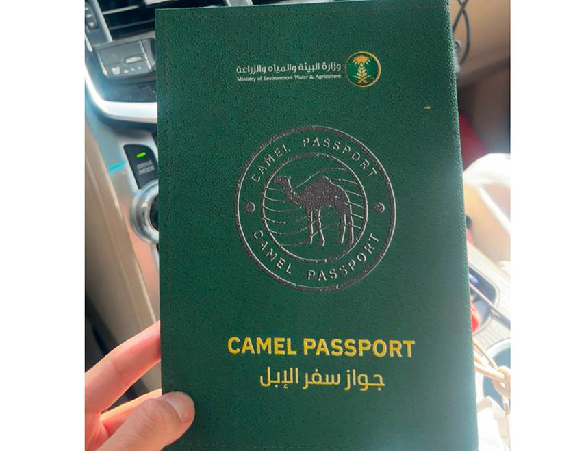 РИЈАД, 5. ФЕБРУАРА /СРНА/ - Влада Саудијске Арабије увела је пасоше за камиле, саопштено је из саудијског Министарства за животну средину, воде и пољопривреду.