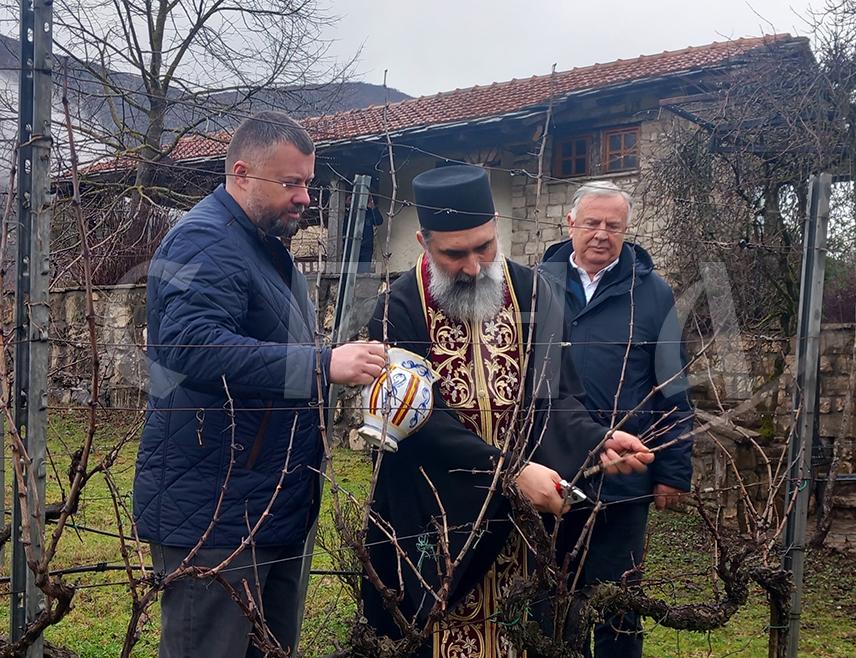 ТРЕБИЊЕ, 14. ФЕБРУАРА /СРНА/ - Почетак нове виноградарске године озваничен је данас симболично резидбом винове лозе у Царским виноградима у Ушћу код Tребиња, чиме је винарија "Подруми Вукоје" обиљежила празник Светог Tрифуна, заштитника винове лозе и виноградарства.