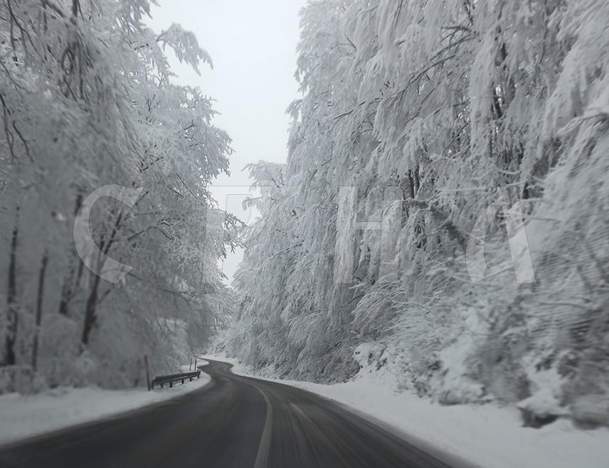 ЗВОРНИК, 17. ФЕБРУАРА /СРНА/ - Сви магистрални и регионални путеви на подручју регије Бирач су проходни, али се због снијега саобраћа отежано, посебно на планинским превојима Хан Поглед изнад Власенице, Црни врх код Зворника и Каштељ код Шековића, саопштено је из предузећа "Зворникпутеви".