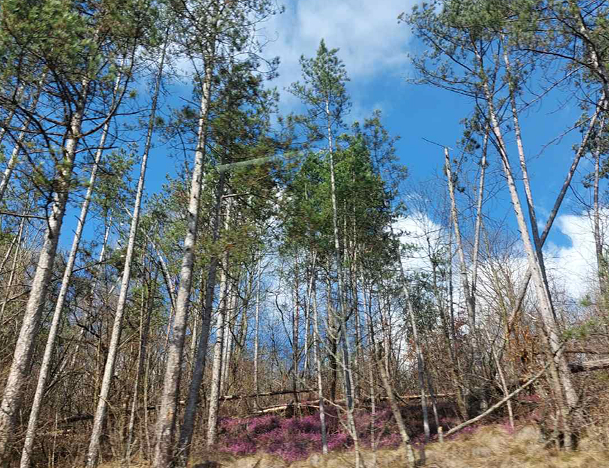 БАЊАЛУКА, 21. ФЕБРУАРА /СРНА/ - У Републици Српској и Федерацији БиХ сутра ће бити сунчано вријеме, осим на истоку гдје ће већи дио дана бити облачно.