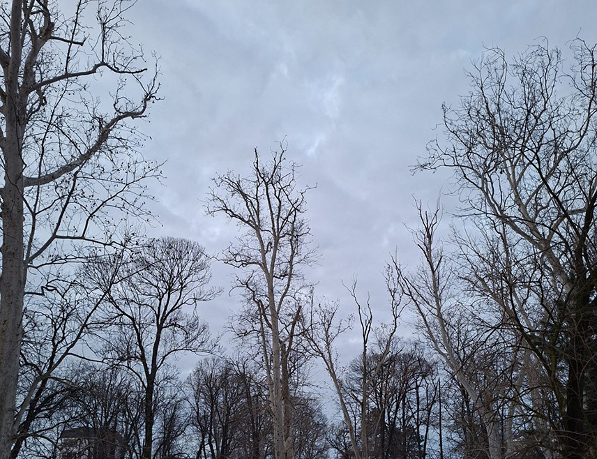 БИЈЕЉИНА, 24. ФЕБРУАРА /СРНА/ - У Републици Српској и ФБиХ данас се очекује претежно облачно и мало свежије вријеме са слабом до умјереном кишом.