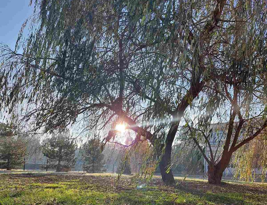 БИЈЕЉИНА, 3. МАРТА /СРНА/ - У Републици Српској и Федерацији БиХ /ФБиХ/ данас ће бити промјенљиво облачно уз сунчане периоде и топло уз локалну пролазну кишу, углавном у брдско-планинским предјелима од југозапада ка истоку.