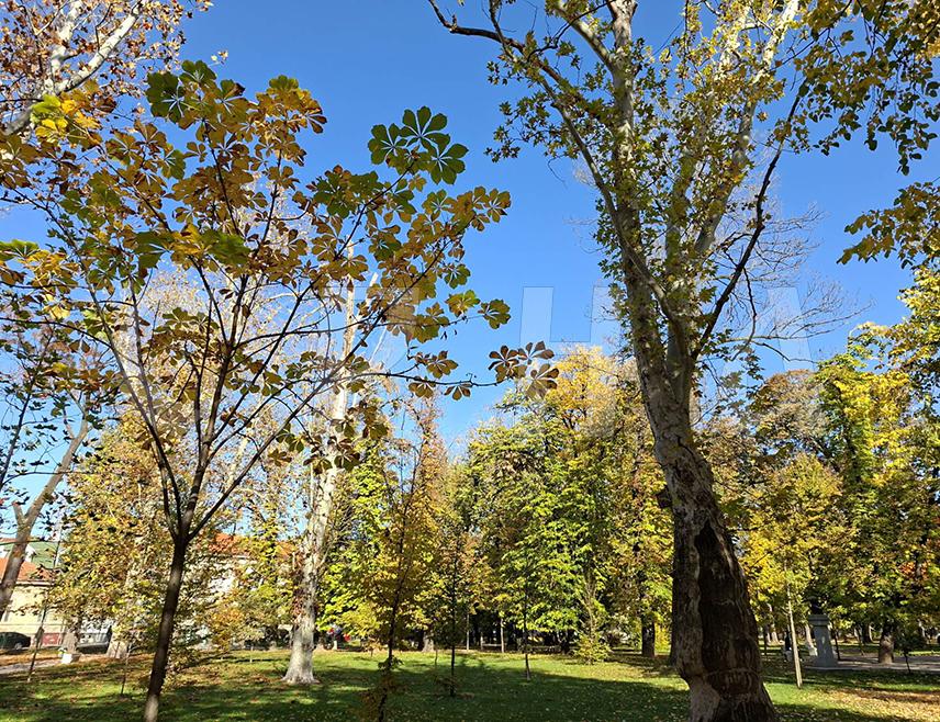 САРАЈЕВО, 4. МАРТА /СРНА/ - У Републици Српској и Федерацији БиХ /ФБиХ/ сутра ће бити топло и промјенљиво облачно вријеме уз сунчане периоде, те максималну температуру од 13 до 19 степени Целзијусових.