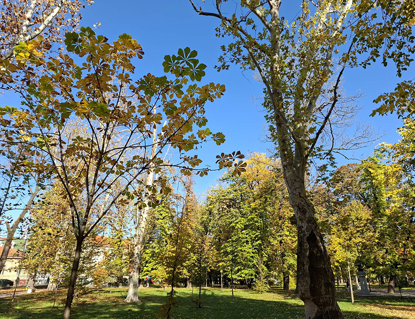 БИЈЕЉИНА, 7. МАРТА /СРНА/ - У Републици Српској и Федерацији БиХ /ФБиХ/ већи дио дана биће претежно сунчано и топлије од просјека, док се у другом дијелу дана очекује умјерен развој облачности од југозапада ка истоку, што ће понегдје условити слабу кишу.