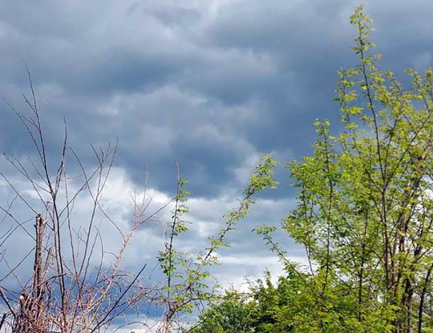 ИСТОЧНО САРАЈЕВО, 16. МАРТА /СРНА/ – У Републици Српској и Федерацији БиХ сутра се очекује претежно облачно вријеме са падавинама током већег дијела дана и постепено захлађење у поподневним и вечерњим часовима.