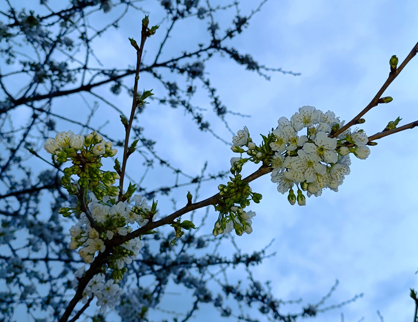 БИЈЕЉИНА, 22. МАРТА /СРНА/ - У Републици Српској и Федерацији БиХ /ФБиХ/ данас ће бити промјенљиво облачно уз сунчане периоде.