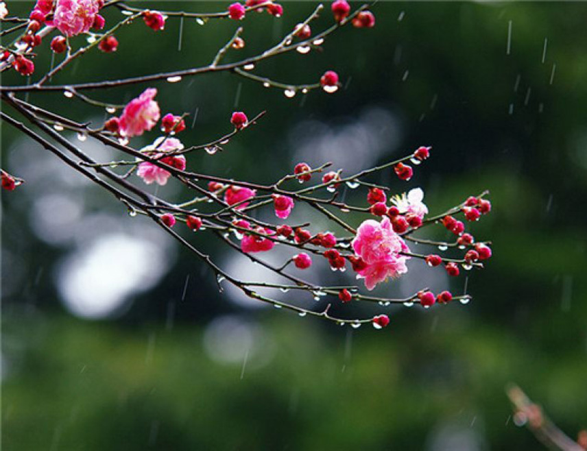 БИЈЕЉИНА, 23. МАРТА /СРНА/ - У Републици Српској и ФБиХ данас ће бити промјенљиво вријеме уз повремену кишу и пљускове у већини предјела, осим на крајњем сјеверу гдје ће остати углавном суво и најтоплије.