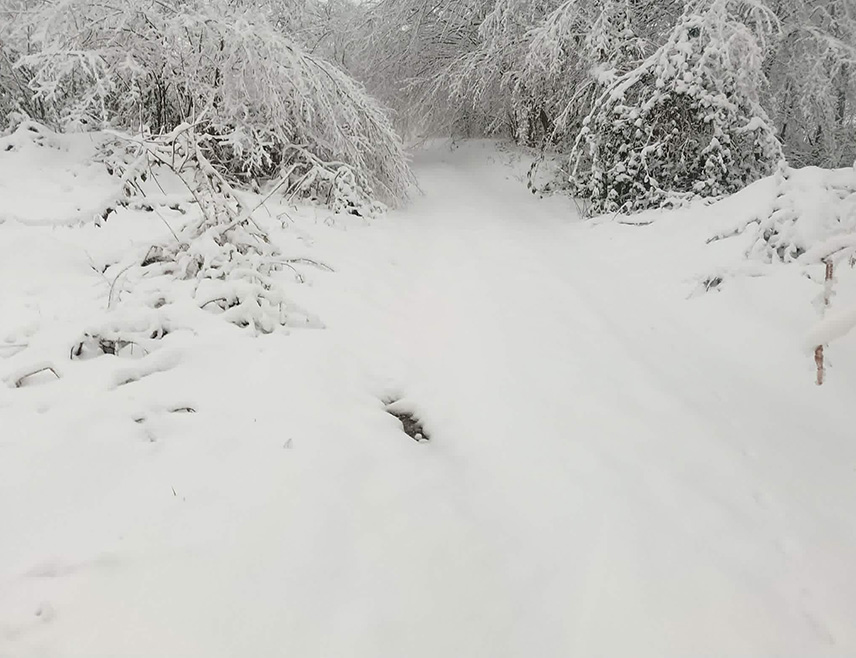 НОВИ ГРАД, 27. МАРТА /СРНА/ - Три далековода на подручју Новог Града јутрос су без напајања електричном енергијом, а снијега има на путевима у вишим предјелима.
