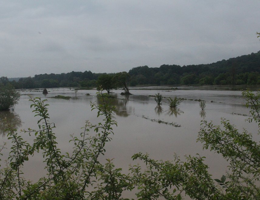 САРАЈЕВО, 30. МАРТА /СРНА/ - По 200 хектара пољопривредног земљишта поплављено је на локалитету од Миричине до Стјелан Поља у општини Градачца и у Спречком пољу у општини Добој Исток усљед изливања ријеке Спрече, док су на подручју Сребреника активирана три клизишта која угрожавају стамбене објекте.
