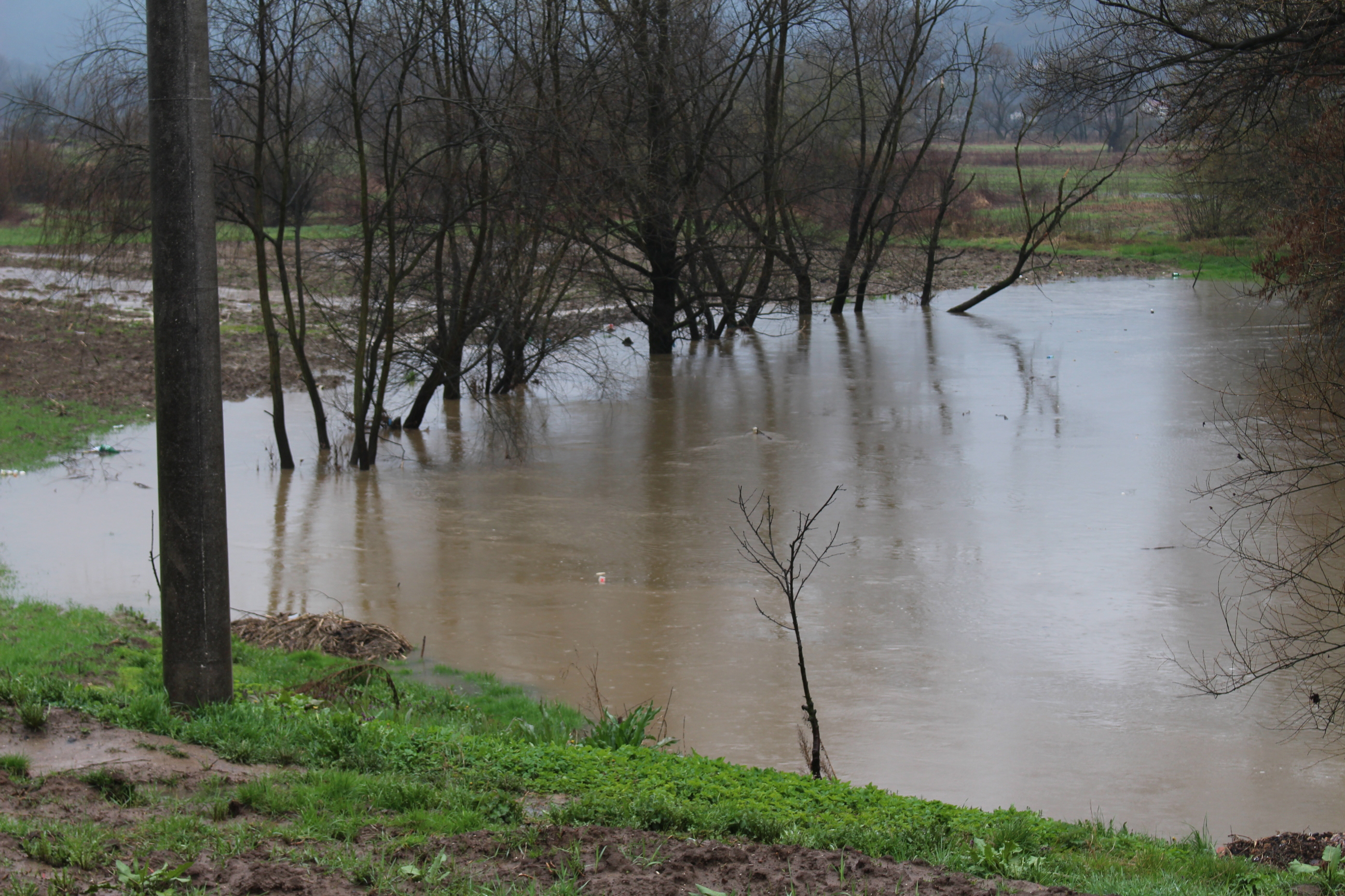 ПЕТРОВО, 31. МАРТА /СРНА/ - Водостај Спрече на мјерном мјесту у Карановцу јутрос је 394 центиметара и у благом је порасту, али тренутно нема опасности од плављења стамбених објеката на подручју Петрова, рекао је Срни командир општинске Добровољне ватрогасне јединице Драган Петковић.