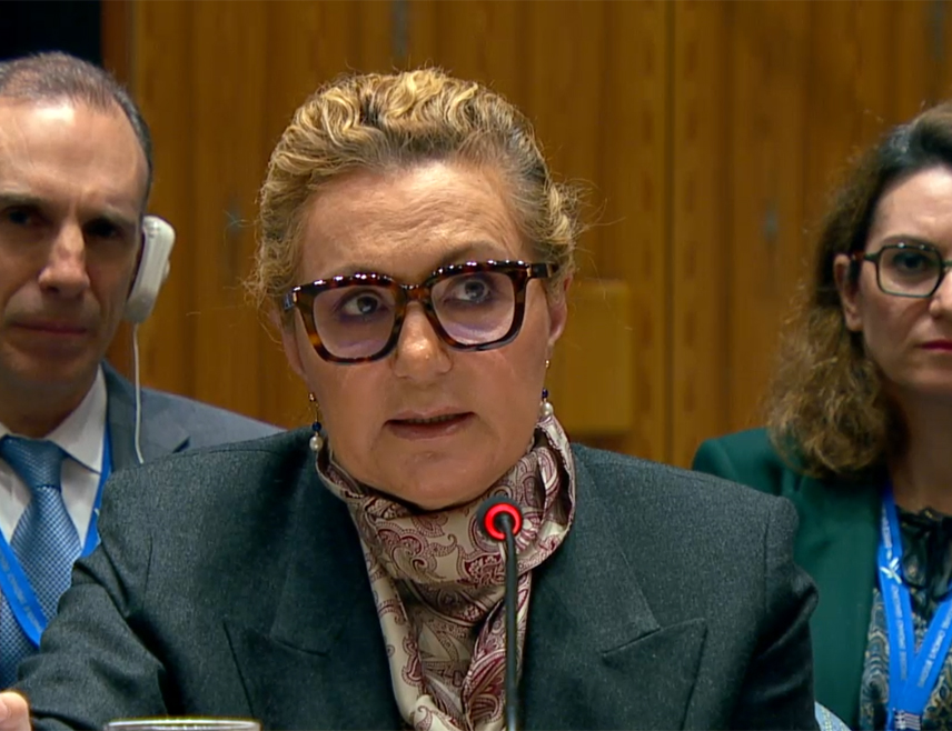 ЊУЈОРК, 9. АПРИЛА /СРНА/ - Формирање Заједнице српских општина /ЗСО/ без предуслова остаје кључно за стабилност у региону и Приштина мора то да спроведе без одгађања, изјавила је амбасадор Грчке у УН Аглаја Балта.