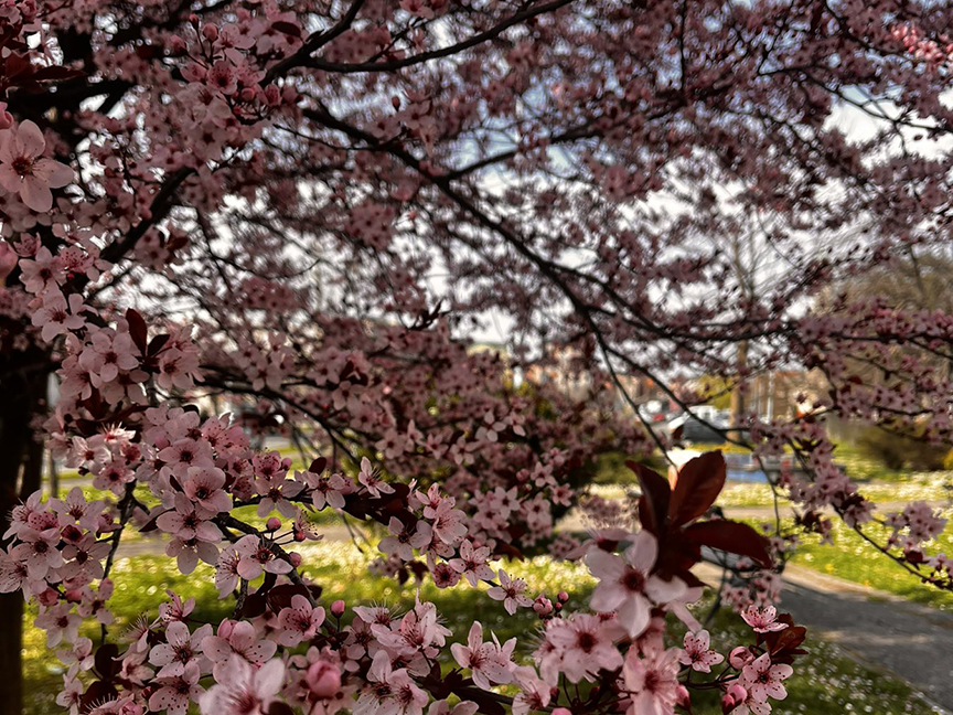 БИЈЕЉИНА, 10. АПРИЛА /СРНА/ - У Републици Српској и Федерацији БиХ данас ће се наоблачити са сјеверозапада и понегдје се очекује слаба киша.