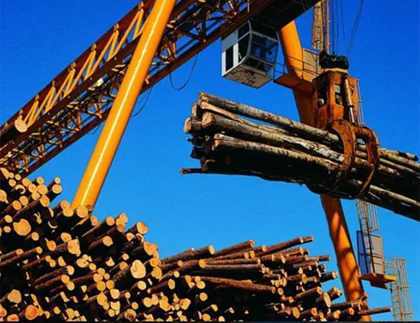 БАЊАЛУКА, 11. АПРИЛА /СРНА/ - У Републици Српској је за прва два мјесеца ове године произведено укупно 198.083 метара кубних разних шумских сортимената или више за 6,3 одсто него у истом времену прошле године, подаци су Републичког завода за статистику.