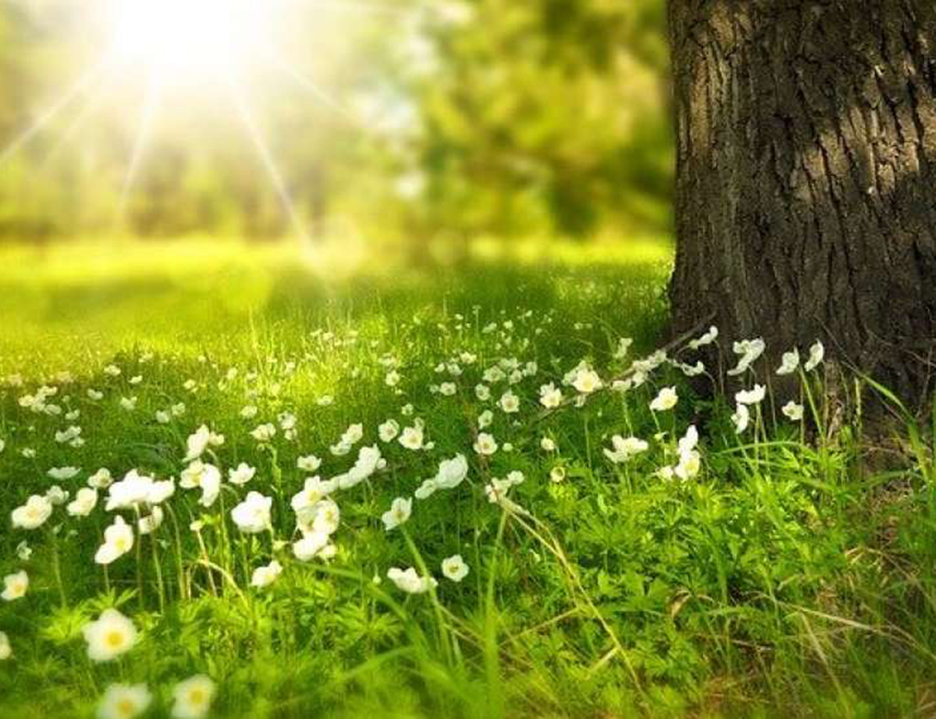 БИЈЕЉИНА, 12. АПРИЛА /СРНА/ - У Републици Српској и Федерацији БиХ /ФБиХ/ данас ће бити претежно сунчано и топло вријеме уз развој дневне облачности.